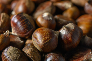 Background of Numerous Chestnuts in Macro Svaneti Autumn Harvest Style
