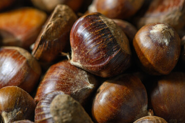 Many Edible Chestnuts Close-Up as Background Georgian Autumn