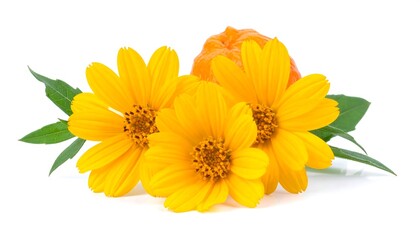 Three bright yellow flowers and a small orange fruit, arranged elegantly on a clean white background