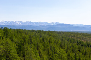 Russia, Magadan Region. Nature of Siberia and the Russian Far East. Taiga forest/