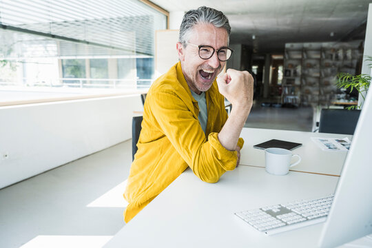 Cheerful businessman cheering and working on desktop PC