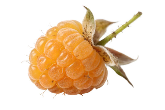A single vibrant yellow cloudberries with stem and leaves, transparent background
