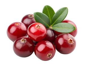 Fresh cranberries with green leaves, transparent background