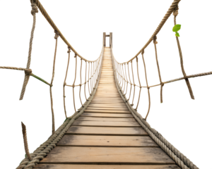 Rustic Wooden Rope Jungle Bridge Arch Isolated with Green Foliage