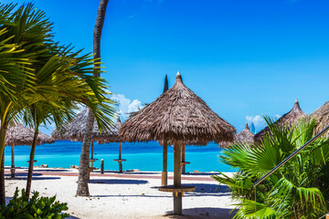 Beautiful view of tropical beach with thatched umbrellas and green palm trees on background of turquoise Caribbean Sea and bright blue sky. Aruba.