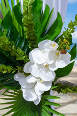 A floral masterpiece of Phalaenopsis aphrodite orchids and tropical leaves captures the essence of island romance