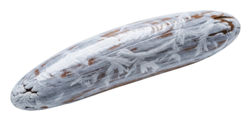 Fishing lure display coastal region product natural light isolated on transparent background