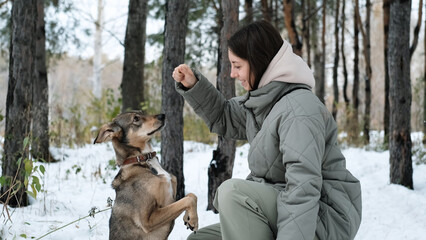 A young woman walks through a winter pine forest with her dog
