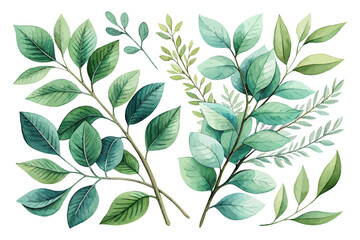 Watercolor Green leaves and branches vector illustration isolated on white background