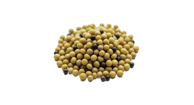 Mustard Seeds Composition on a Yellow Background with Detailed Lighting