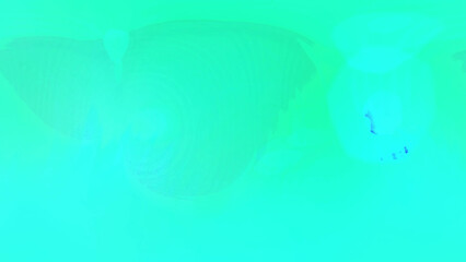 Vibrant abstract digital art with flowing cyan and teal waves creating a modern, energetic, and dynamic visual experience.