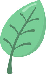 Illustration of a mint green leaf