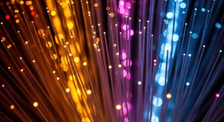 Glowing strands of fiber optic cables illustrating digital connectivity
