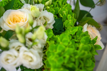 Fresh bouquet with white roses and green hydrangea
