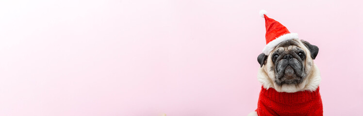Pug in Christmas santa hat and red sweater against pink background. Cute holiday portrait showing festivity, joy and friendship through adorable dog expression. Web banner, copy space