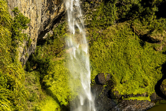 View of the cascading waterfall plunges down the rugged cliff face, surrounded by vibrant green moss and lush vegetation, a tranquil oasis, Raglan, Waikato Region, New Zealand.
