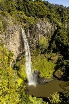View of the majestic waterfall plunges down a cliff face, surrounded by lush green vegetation and dense forest, creating a serene and picturesque scene, Raglan, Waikato Region, New Zealand.