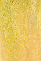 An extreme vertical close-up of fine, soft, light yellow corn silk fibers tangled together, filling the frame against a muted yellow background