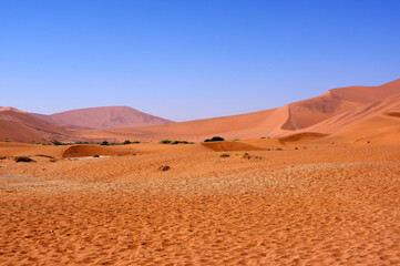 désert de Sossusvlei, Namibie
