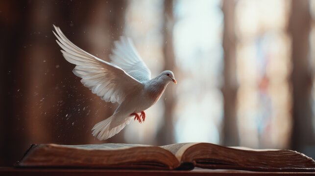 White dove flying above an open book. Symbol of peace, Holy Spirit, and sacred wisdom. Religious concept for spiritual inspiration.