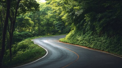 Obraz premium Winding asphalt road through a lush green forest. Scenic drive travel route lined with trees. Nature landscape background for journey.