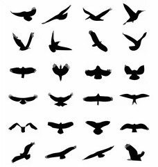 Black Bird Silhouettes.eps