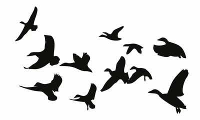 Duck Flying Silhouette.eps