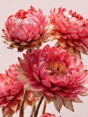 Beautiful Dried Pink Flowers Arranged in a Creative Display for Home Decor