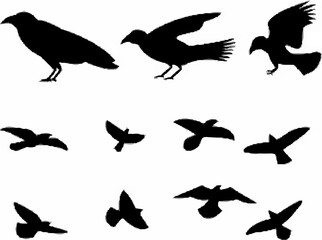 Flying Raven Silhouette.eps