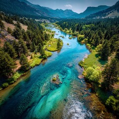 Beautiful River Flows Through Lush Forest and Mountain Landscape in Summer