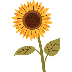 Stylized Yellow Sunflower with Green Leaves on a Transparent Background Isolated Organic Plant with Brown Center and Petals in Warm Lighting