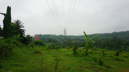 Electric Power Pole in Rural Landscape