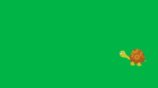 A small orange turtle walks slowly to the right on a green screen chromakey background in this 2d animated cartoon animation. Ideal for kids� educational content or patient animal motion.