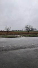 the river in the forest