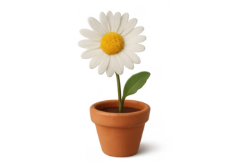 Potted claymation daisy flower with transparent background