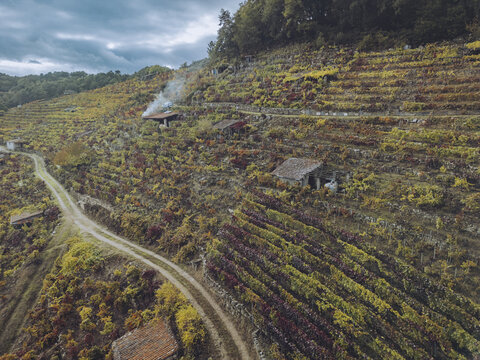 Aerial view of terraced vineyards ablaze with autumn colors cascading down the hillsides, old stone buildings nestled amidst the vines, Ribeira Sacra, Chantada, Lugo, Spain.