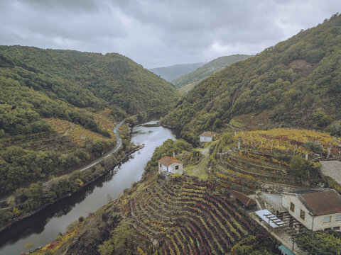 Aerial view of a serene river winding through rolling hills embraced by vineyards and rustic buildings, Ribeira Sacra, Chantada, Lugo, Spain.
