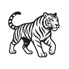 Obraz premium Tiger walking in black and white