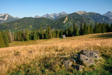 Obraz premium góry Tatry - widok z Rusinowej Polany