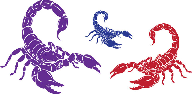 Three scorpions in purple blue and red against a graphic art on transparent background