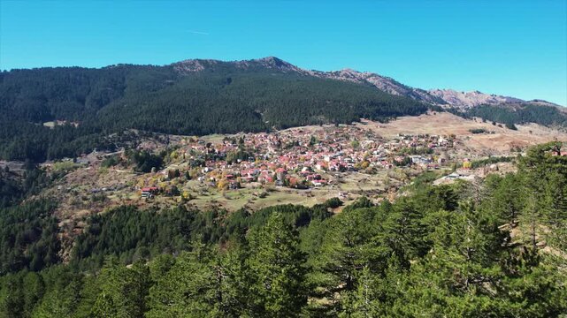 Aerial View of Samarina Village in Grevena Region Greece. Dolly Shot Village Reveal Beside Spruce Trees in Pindus Mountains.