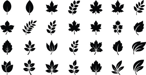 Assorted Leaf Silhouette Collection Natural Element Botanical Shape Variety Flora Foliage Pattern Nature Forest Eco