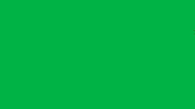 A tiny black spider rests quietly on a thread against a green screen chromakey background in this 2d animated cartoon animation. Perfect for subtle creepy crawly fillers or minimal insect presence