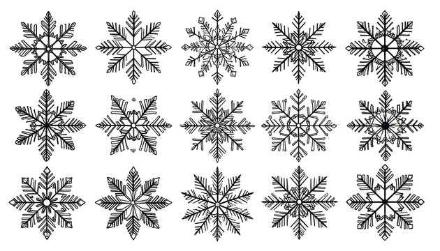 A collection of black and white, intricately designed snowflakes arranged in rows on a plain white background