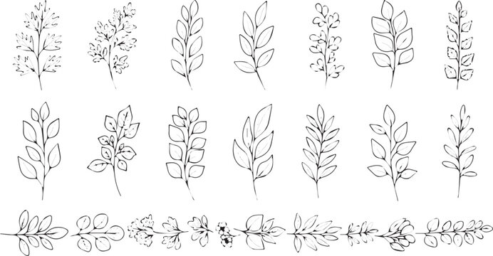 Set of hand-drawn botanical illustrations delicate line art leaves and branches perfect for wedding invitations and natural designs