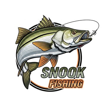 Snook fish 