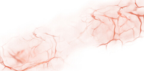 pink watercolor paint brush for wedding card elements and card templates for greetings or invitations on valentines Day background hand drawn painted texture on transparenrt background png file type