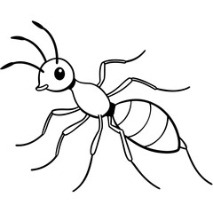 vector illustration of a spider