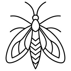 black and white spider