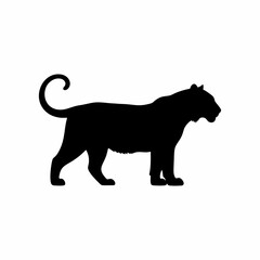 vector silhouette of a tiger with a white background

